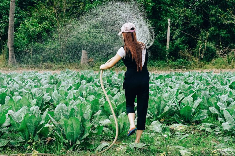 Il pianeta salvato dalle donne: le vere ecologiste del presente e del futuro